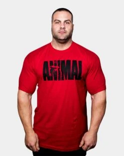 Animal Iconic T-Shirt -Armour Sales Store UNIV5260083 grey
