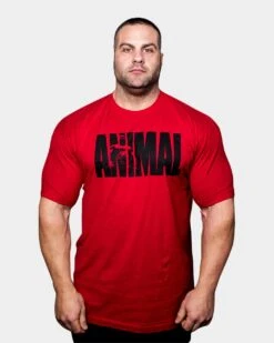 Animal Iconic T-Shirt -Armour Sales Store UNIV5260085 grey